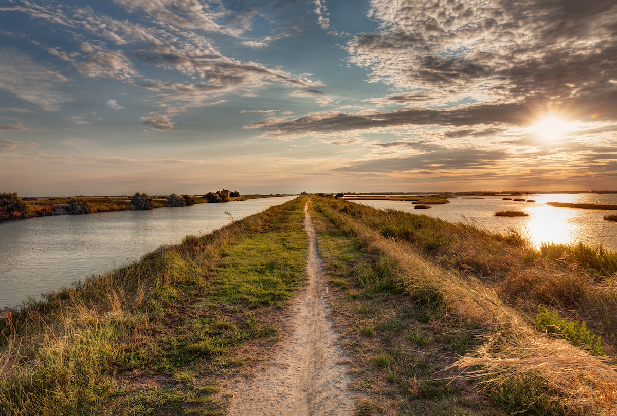 natural reserve “Valli di Comacchio” in Italy