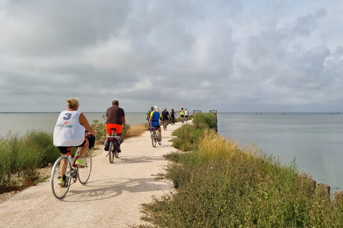 valli-di-comacchio_argine-degli-angeli_archivio-parcodeltapo-er-5